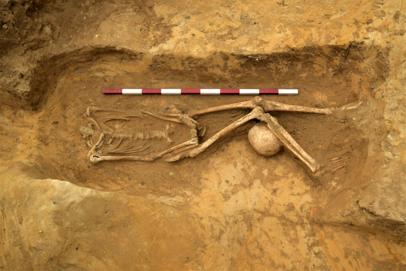 Some skulls were tucked under the legs.